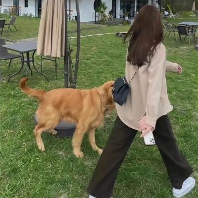 老子传奇