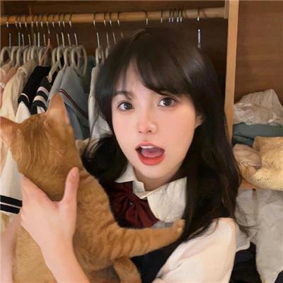 粉红理论